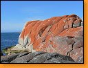 Rud kameny v Ztoce oh (Bay of Fires)