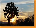 Arizona - západ slunce 
